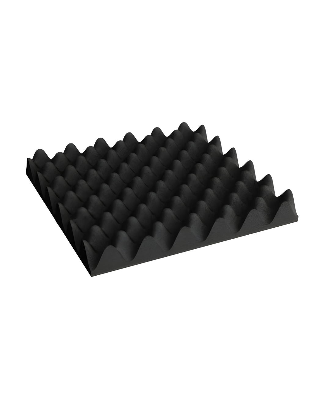 Protective Interior Foam Lining